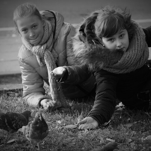 Kids and pigeons
