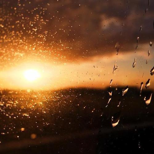Rainy days