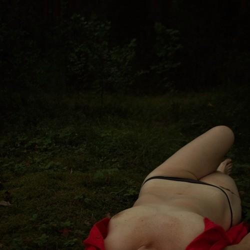 Red in the forest