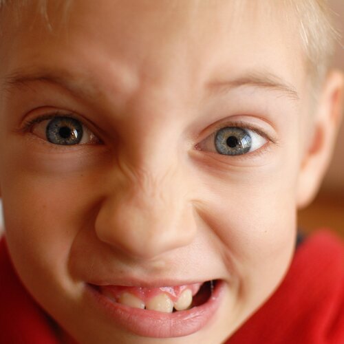 Photo #2671705