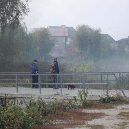 Photo #2671707