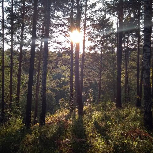 Photo #2672679