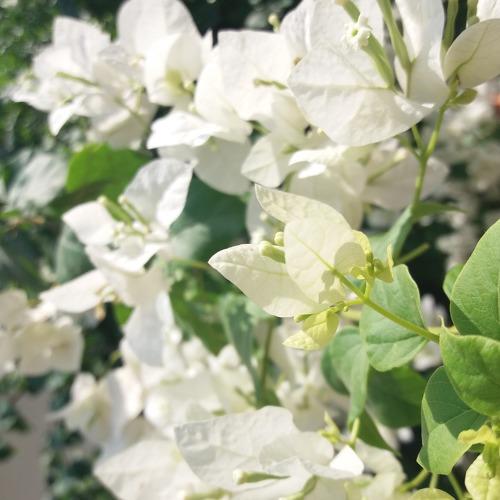 Photo #2674282