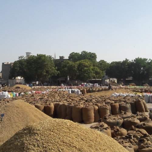 Grain Market