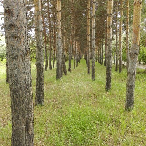 Лагерь отдыха