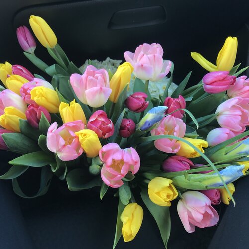 Photo #2679600
