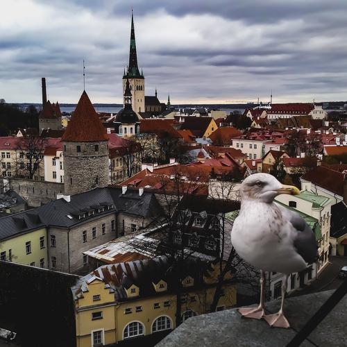 Photo #2679783