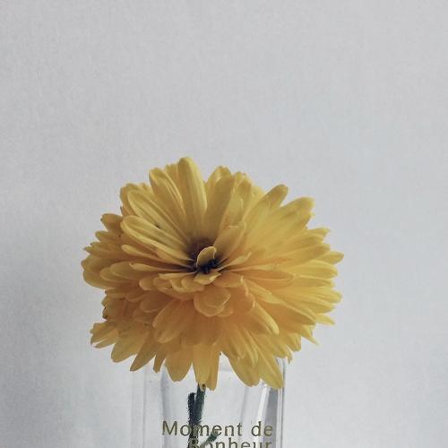 Photo #2681251