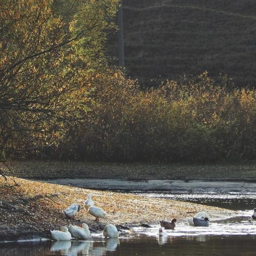 Photo #2681525