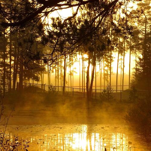 idyll