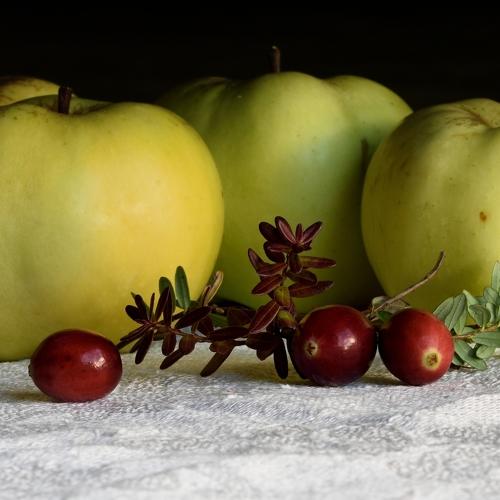 Осенний урожай.