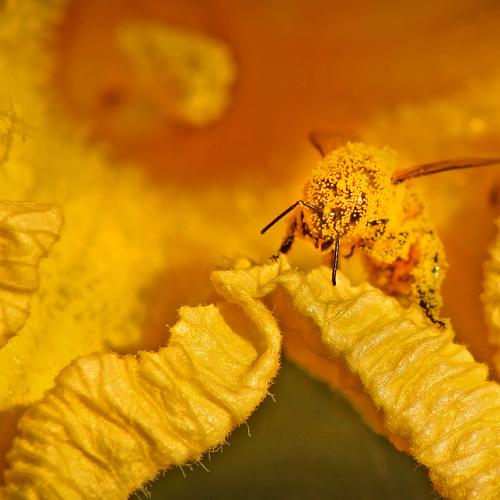 Photo #2682284