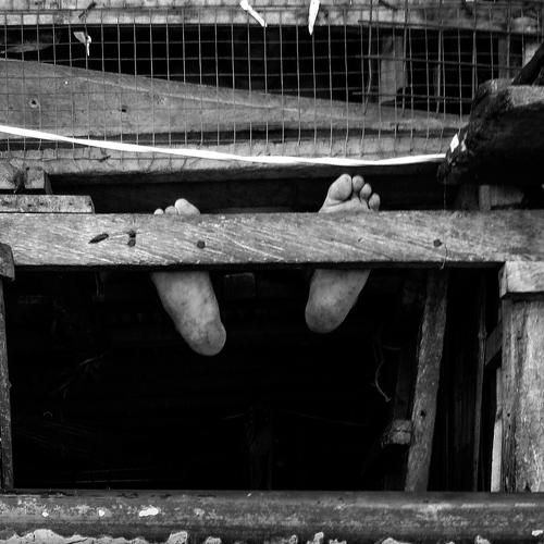 The Foot