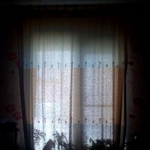 Силует