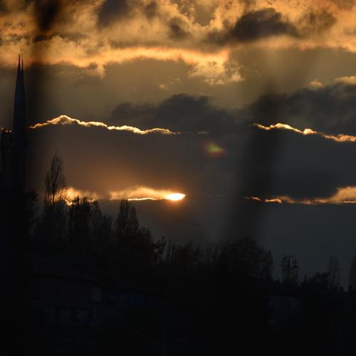 Sunshine