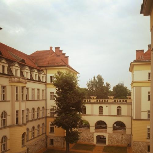 Cracovia hospital