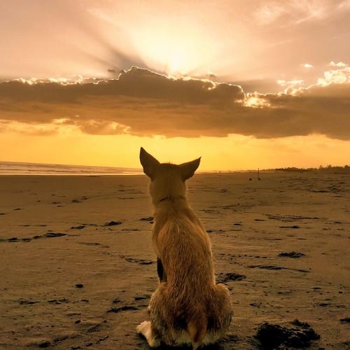 Who can resist the beauty of a sunset?