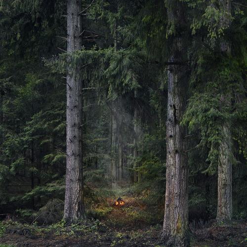 Fires 9, 2018