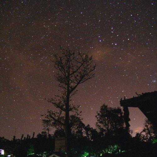 A Starry-Starry Night