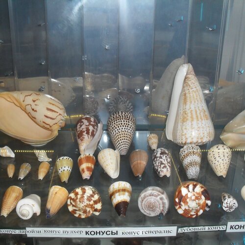 Photo #2692811