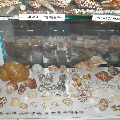Photo #2692814