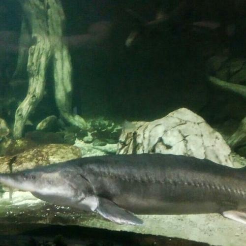 Photo #2695579