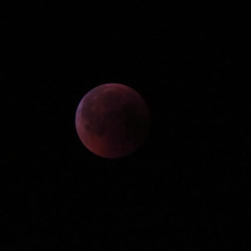 Red moon