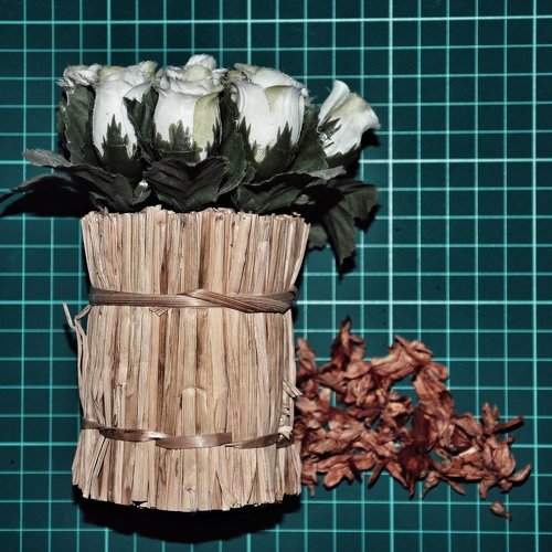 Dead Jasmine and Roses