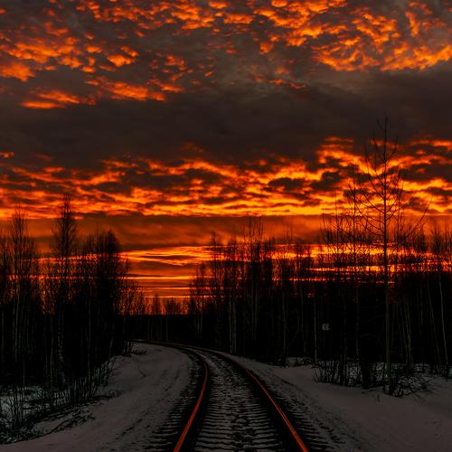 Алая заря