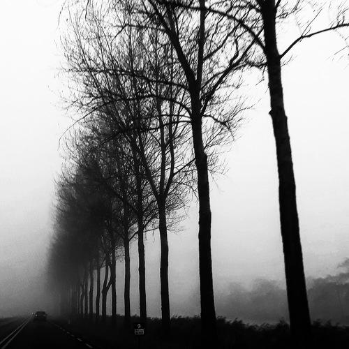 Mist