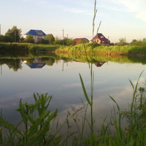 Красота