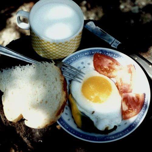 Breakfast on the hive.