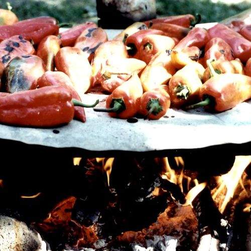 Baking peppers in the forest.
