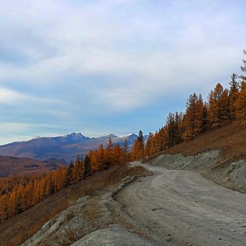 Photo #2704025