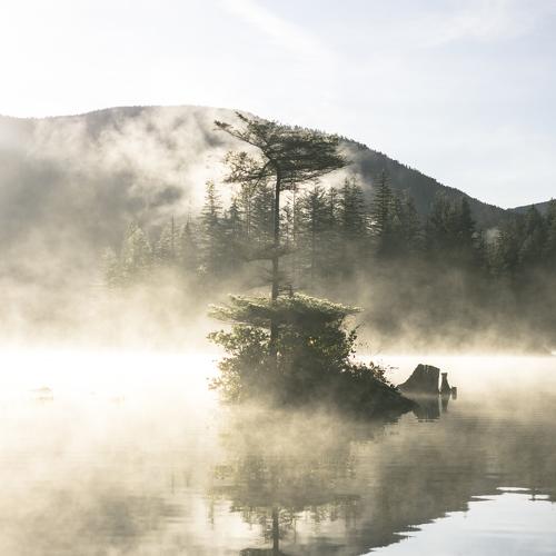 Into the mystic
