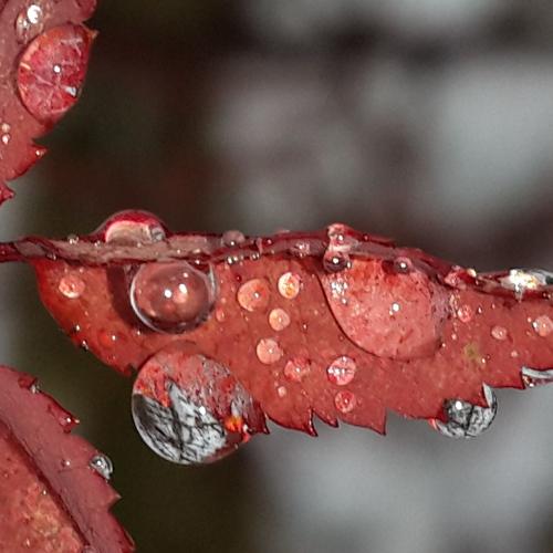 Photo #2704173