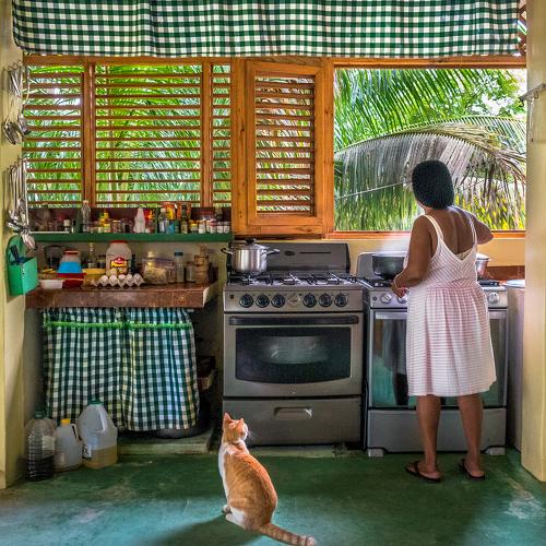 Dinner preparation