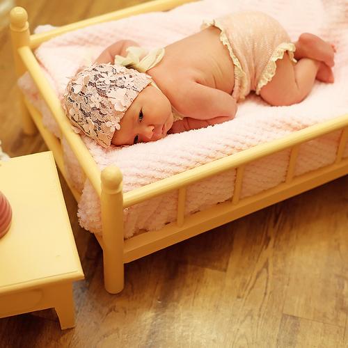 Photo #2708691