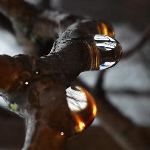 Photo #2708692
