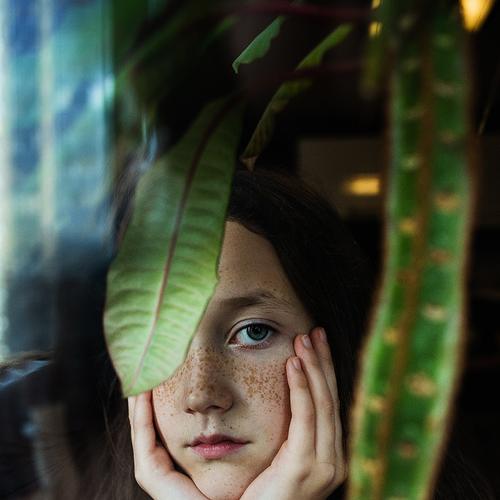 Photo #2709244