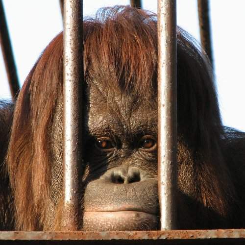 Photo #2710911