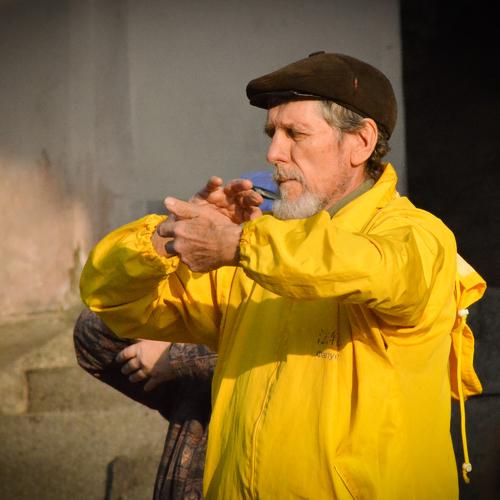 Photo #2713062
