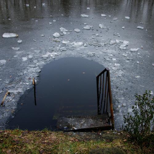 Мы погружаемся в зиму / We plunge into winter