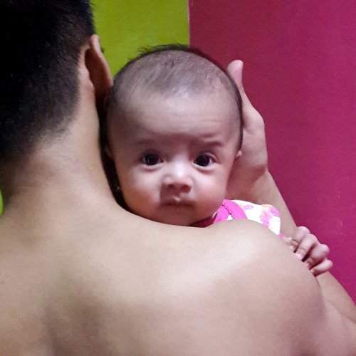Photo #2713315