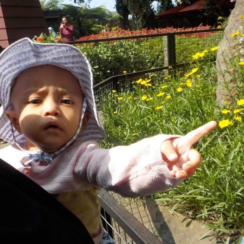 Photo #2713319