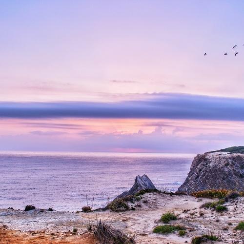 Photo #2713579