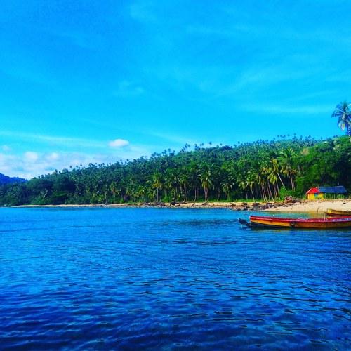 Photo #2714215