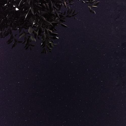 We are from stars