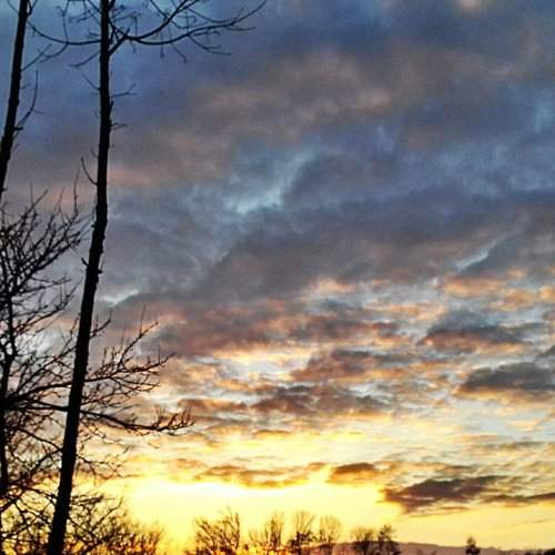 Photo #2714914