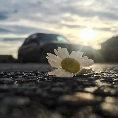 Find beauty in everything